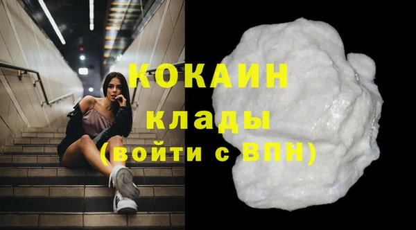 тгк Верея