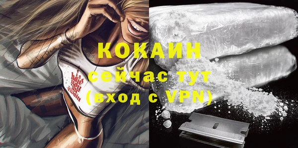 тгк Верея