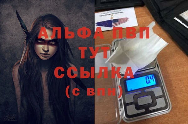 гашик Тавда