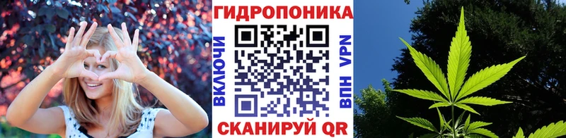 Каннабис сатива  площадка официальный сайт  Курчатов  OMG ссылка 